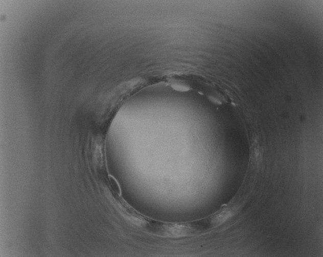 X0000053090527200507181722