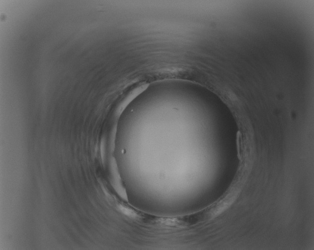 X0000053090528200507181722