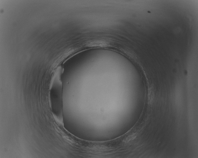 X0000053090529200507181721