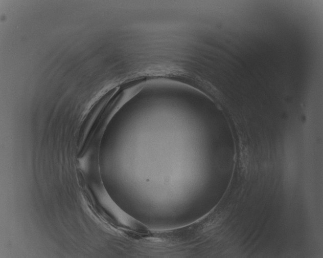 X0000053090530200507181721