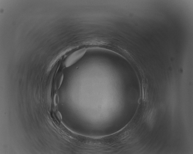 X0000053090531200507181721