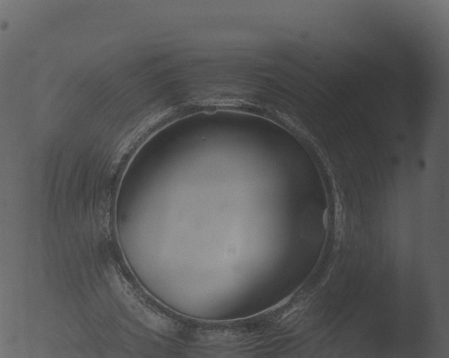 X0000053090533200507181721