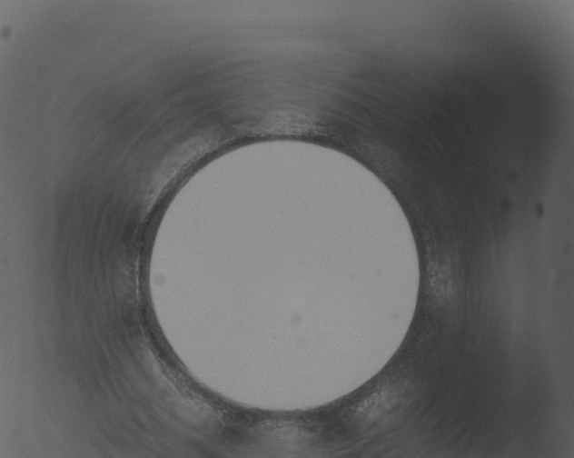 X0000053090534200507181721