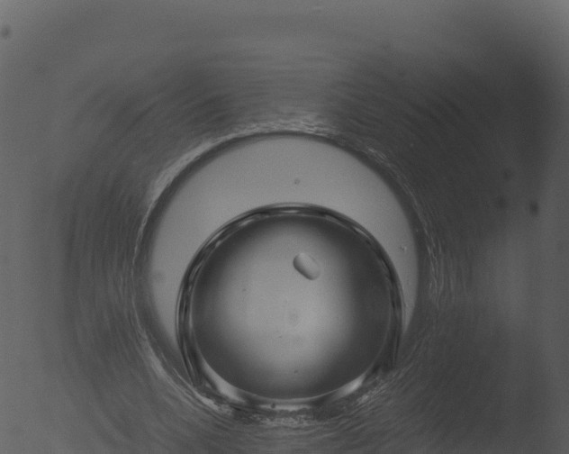 X0000053090536200507181721