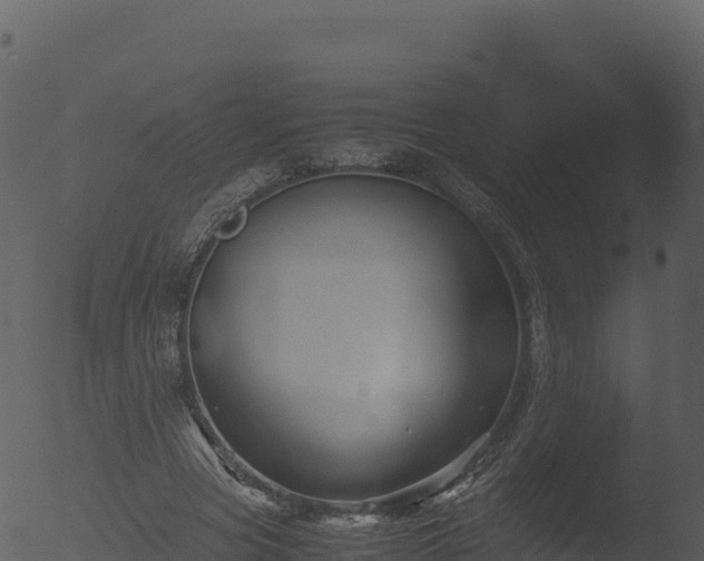 X0000053090537200507181721