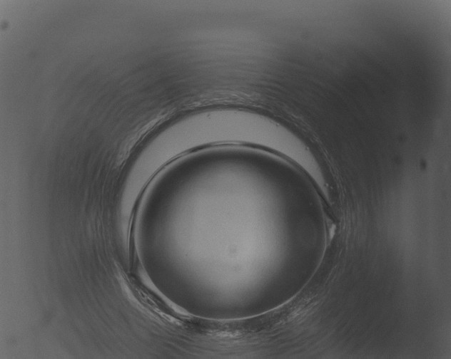 X0000053090538200507181721