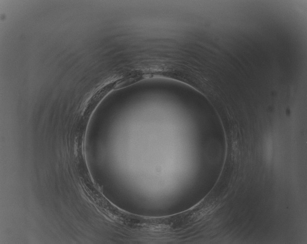 X0000053090539200507181721