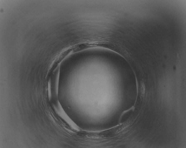 X0000053090540200507181721