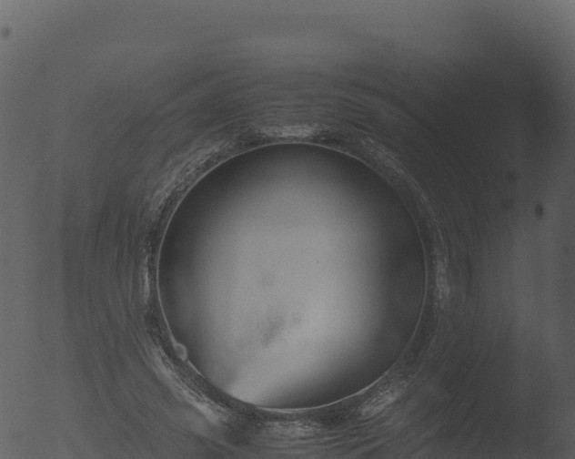 X0000053090541200507181721