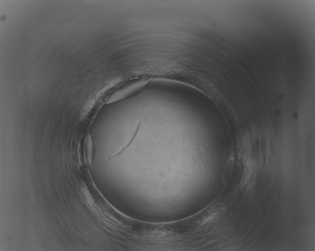 X0000053090542200507181721