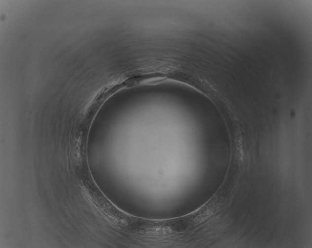 X0000053090543200507181721