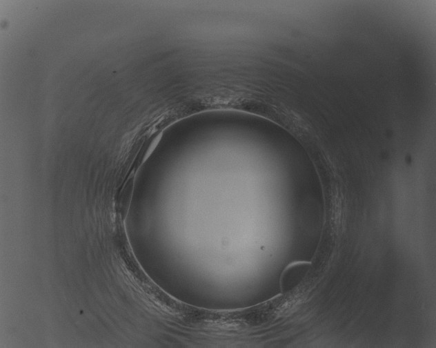 X0000053090545200507181721