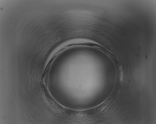 X0000053090546200507181721