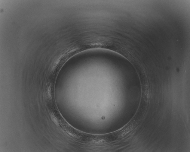 X0000053090547200507181721