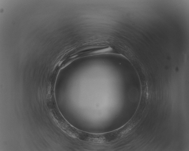 X0000053090548200507181721