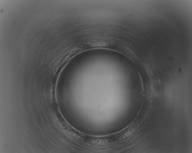 X0000053090549200507181721