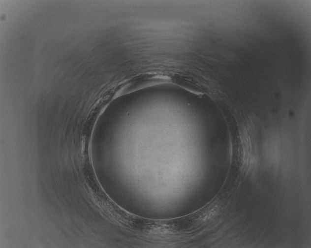 X0000053090550200507181721