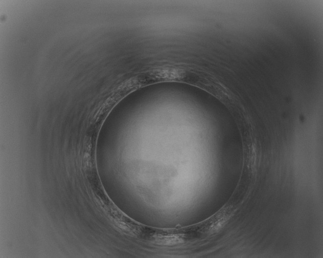 X0000053090553200507181721