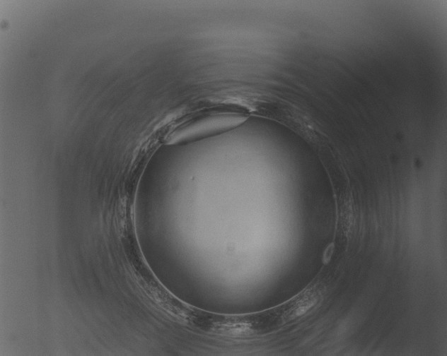 X0000053090554200507181721