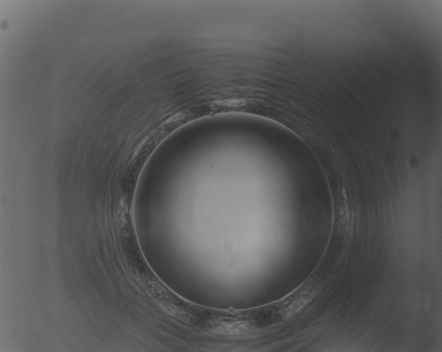 X0000053090555200507181721