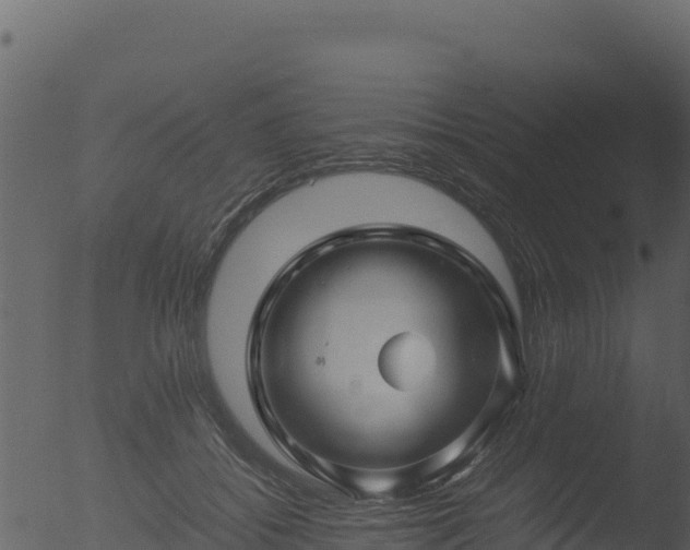 X0000053090556200507181721