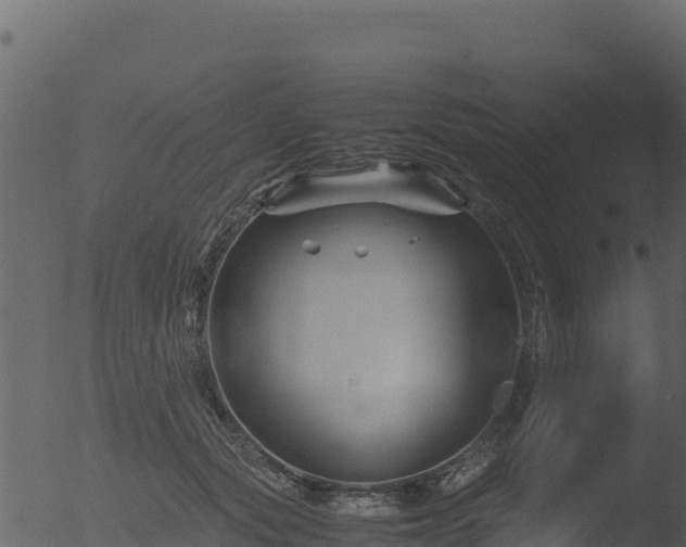 X0000053090557200507181721