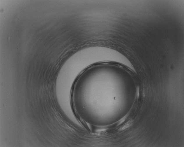 X0000053090558200507181721