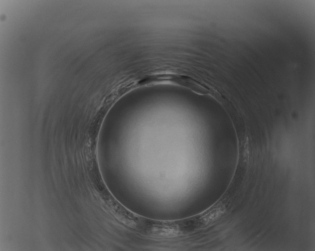 X0000053090559200507181721