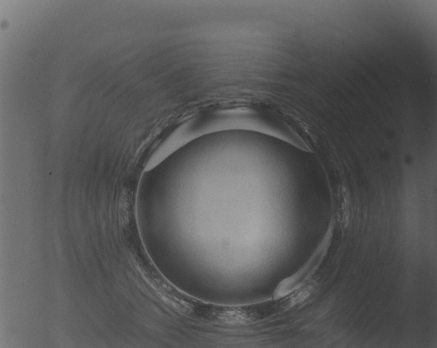 X0000053090562200507181722