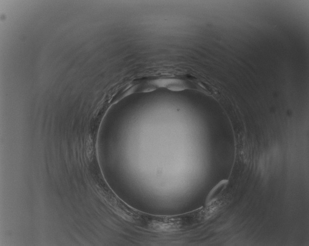 X0000053090563200507181722