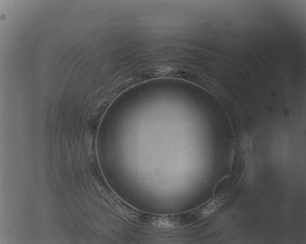 X0000053090565200507181722