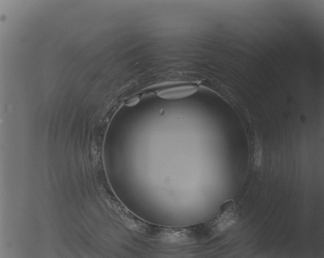 X0000053090569200507181722