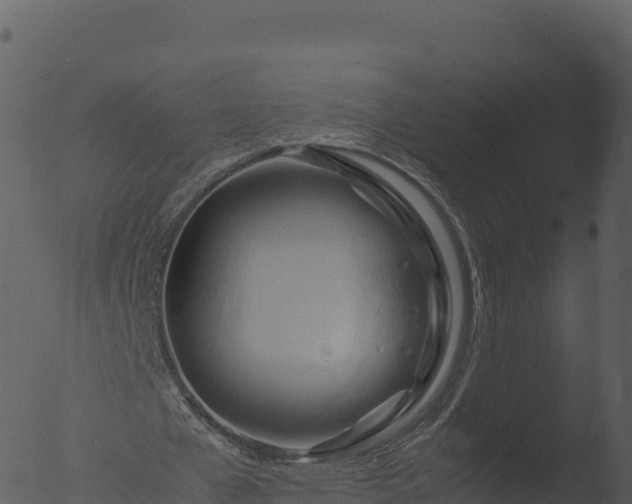 X0000053090577200507181721