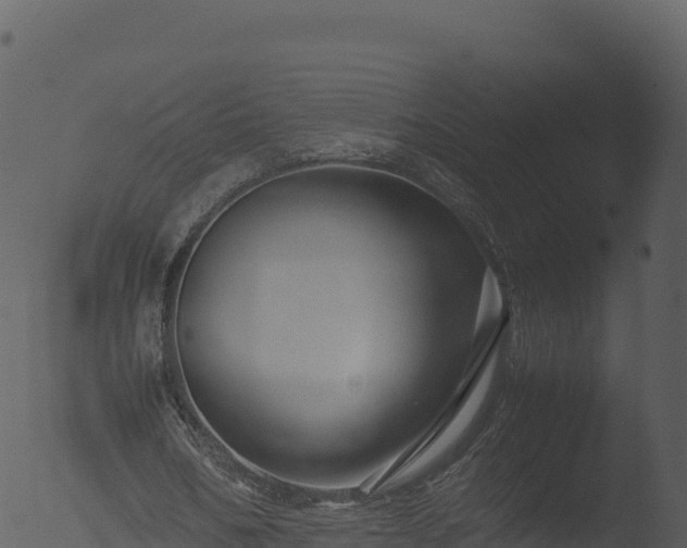 X0000053090578200507181721