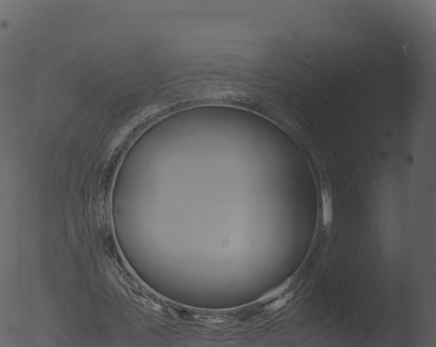 X0000053090579200507181721