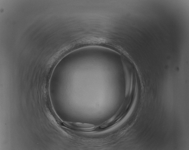 X0000053090581200507181721