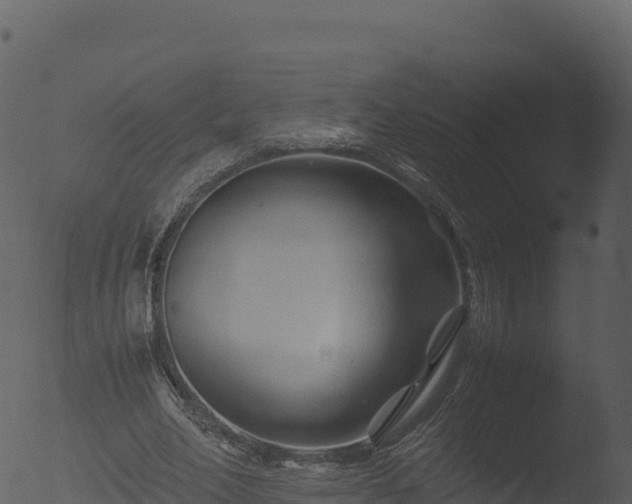 X0000053090582200507181721