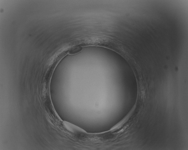 X0000053090583200507181721