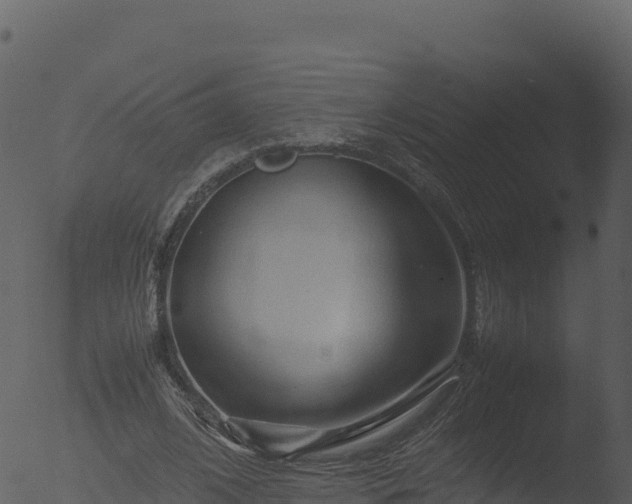 X0000053090584200507181721