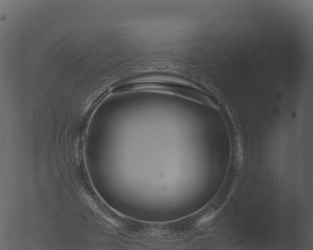 X0000053090585200507181721