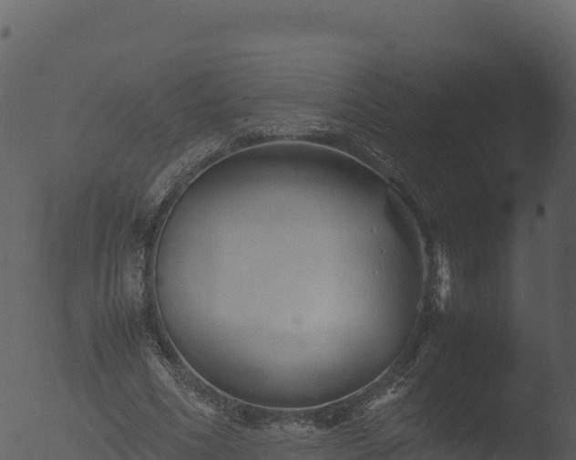 X0000053090586200507181721