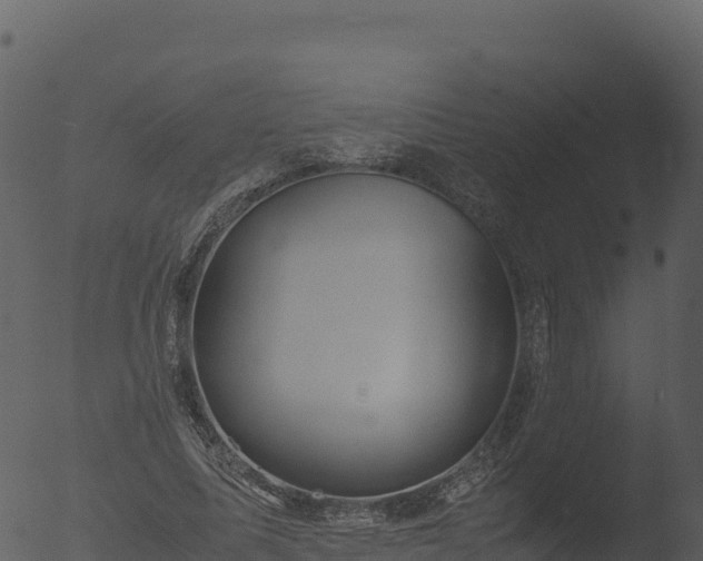 X0000053090587200507181721