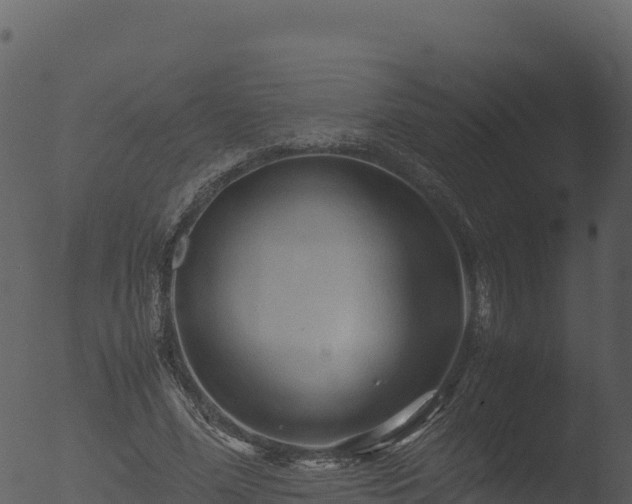 X0000053090588200507181721