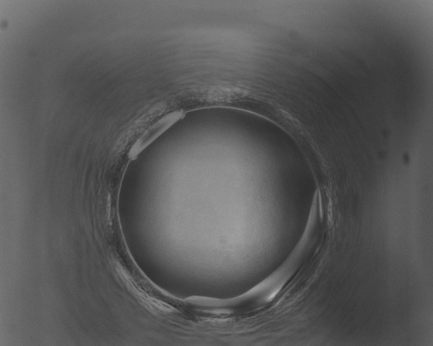 X0000053090589200507181721