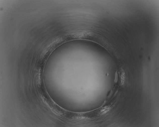 X0000053090590200507181721