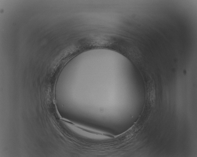 X0000053090591200507181721