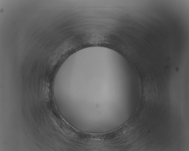 X0000053090592200507181721