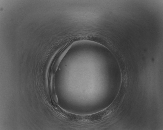 X0000053090593200507181721