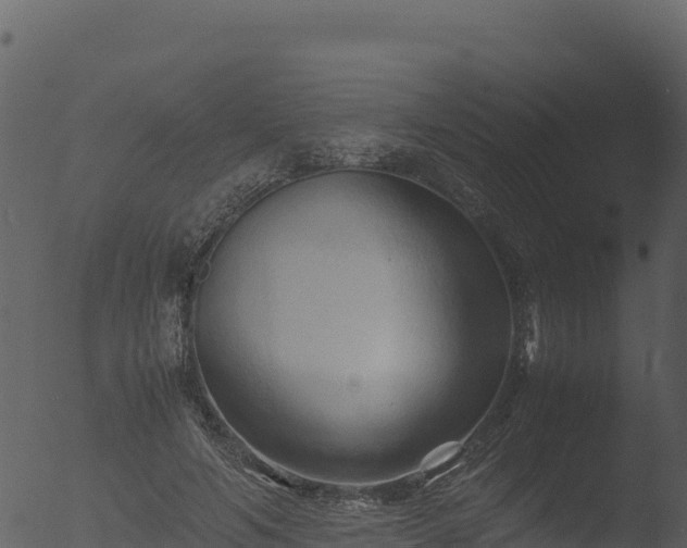 X0000053090594200507181721