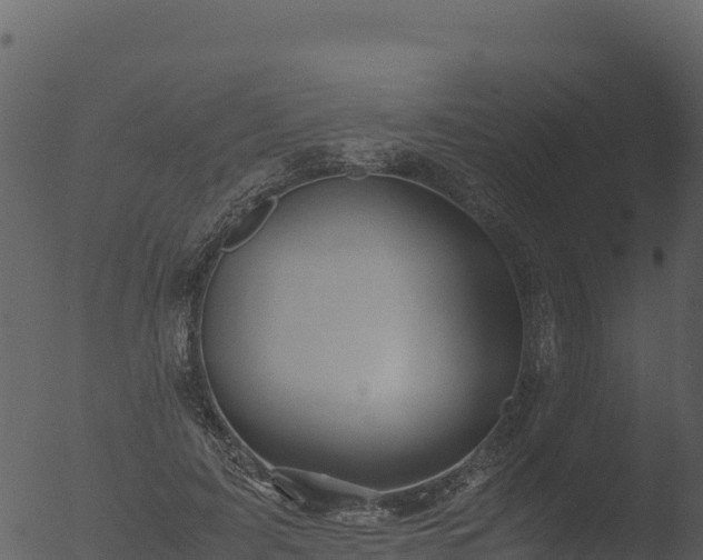 X0000053090595200507181721